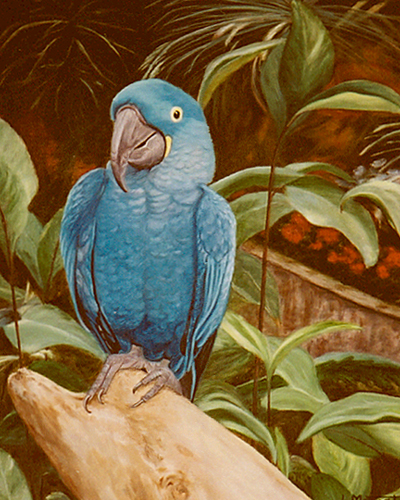Blue Parrot Painting